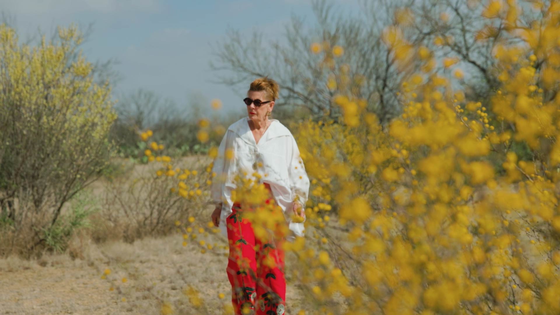 Press Play: The World of Cultus Artem